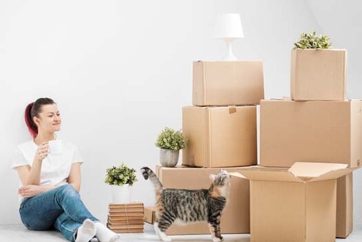 Moving home with your cat