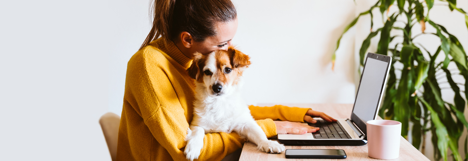 frau-mit-hund-im-homeoffice-magazin-tagesablauf-hund-contentimage-1600x550