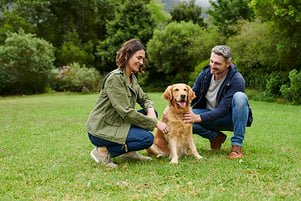 mann-und-frau-mit-hund-auf-einer-wiese-magazin-ernaehrung-aelterer-hunde-contentimage-560x375