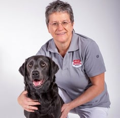 csm_animonda_tierischer-ratgeber-hund_Dr_vet_med_Simone_Radicke_5658a4c07b